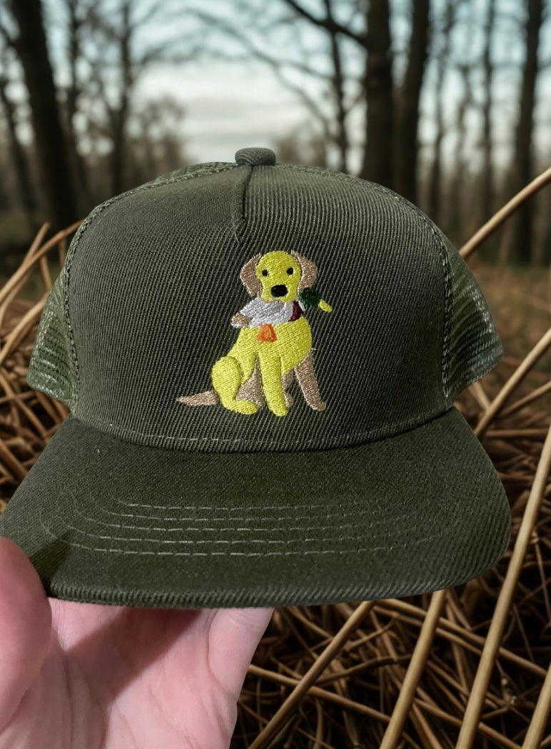 Lab with duck Hat