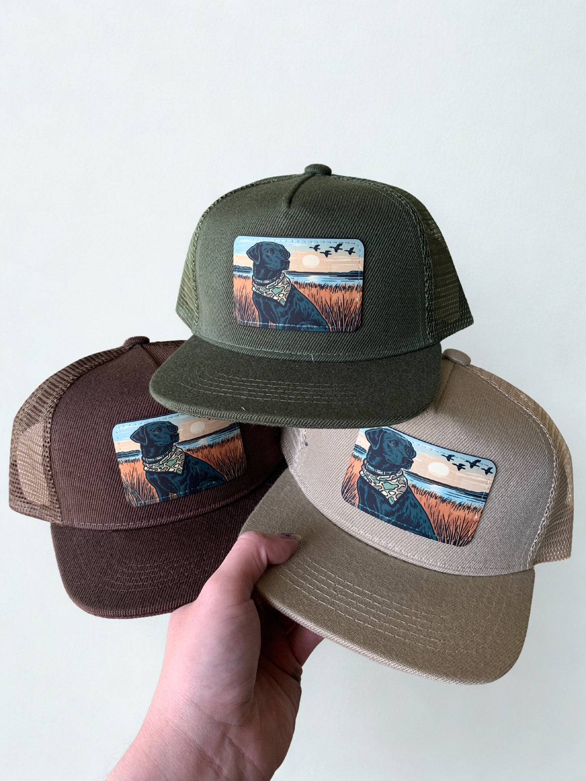 Lab Full Color Hat